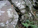 Mt_Holyoke_006