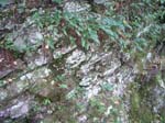 Mt_Holyoke_010