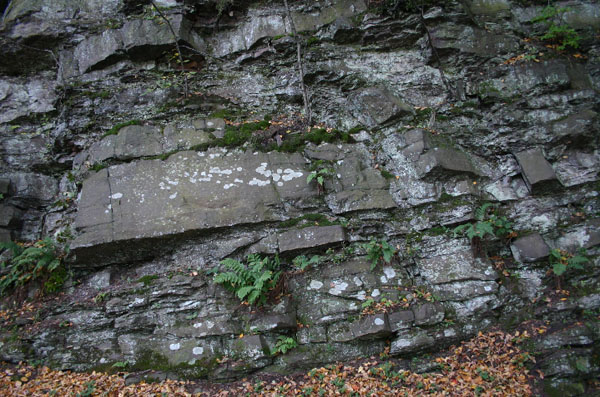 Mt_Holyoke_001a