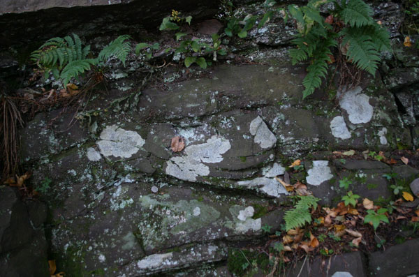 Mt_Holyoke_005a