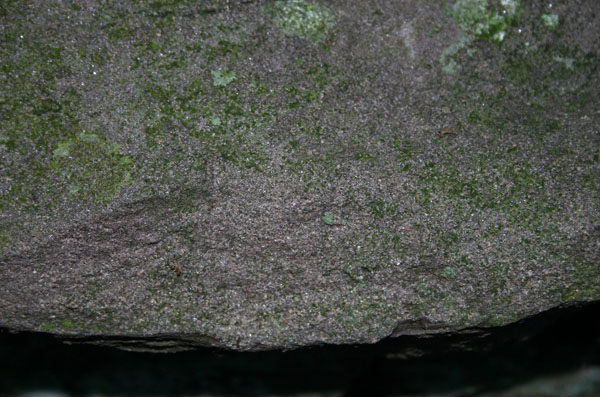 Mt_Holyoke_012a