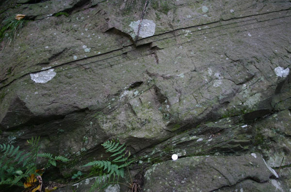 Mt_Holyoke_014a