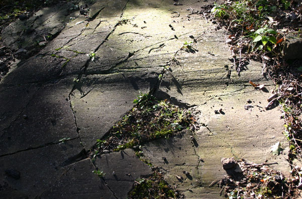 Mt_Holyoke_027a