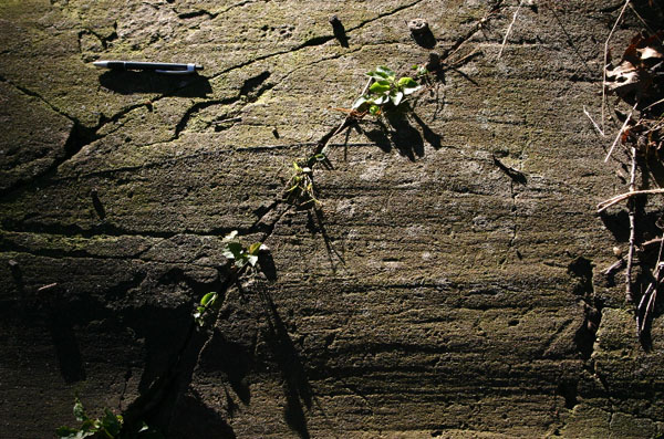 Mt_Holyoke_029a
