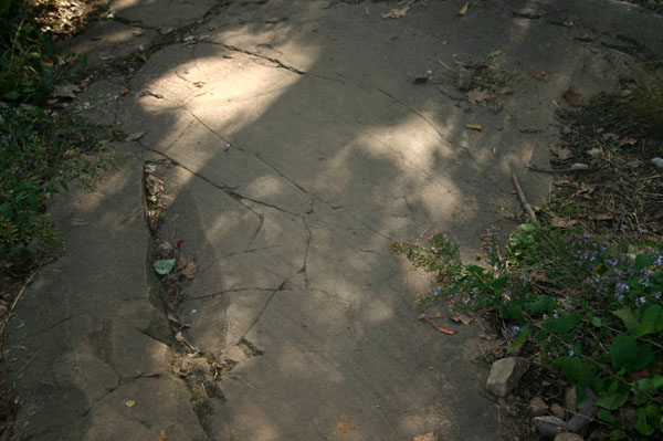 Mt_Holyoke_053a