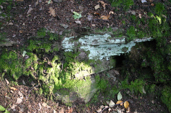 Mt_Holyoke_057a