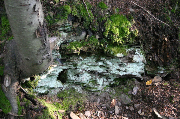 Mt_Holyoke_058a