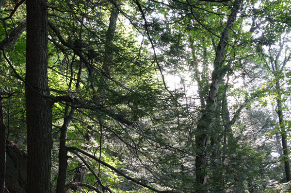 Mt_Holyoke_060a