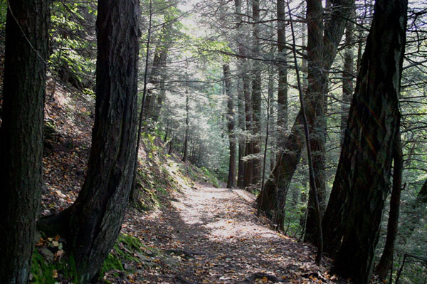 Mt_Holyoke_063a