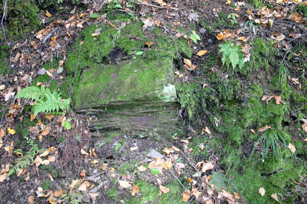 Mt_Holyoke_064a
