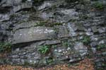 Mt_Holyoke_001a
