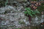 Mt_Holyoke_002a