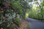 Mt_Holyoke_003a