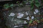 Mt_Holyoke_005a