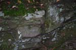Mt_Holyoke_013a