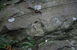 Mt_Holyoke_014a