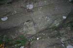Mt_Holyoke_015a