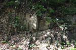 Mt_Holyoke_016a
