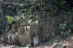 Mt_Holyoke_017a