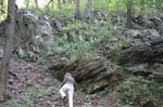 Mt_Holyoke_019a