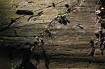 Mt_Holyoke_029a