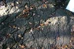 Mt_Holyoke_036a