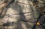 Mt_Holyoke_051a