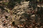 Mt_Holyoke_052a