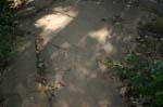 Mt_Holyoke_053a
