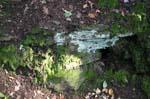 Mt_Holyoke_057a