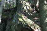 Mt_Holyoke_061a