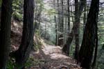 Mt_Holyoke_063a