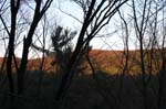 Mt_Toby_029b