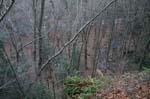 Mt_Toby_030b