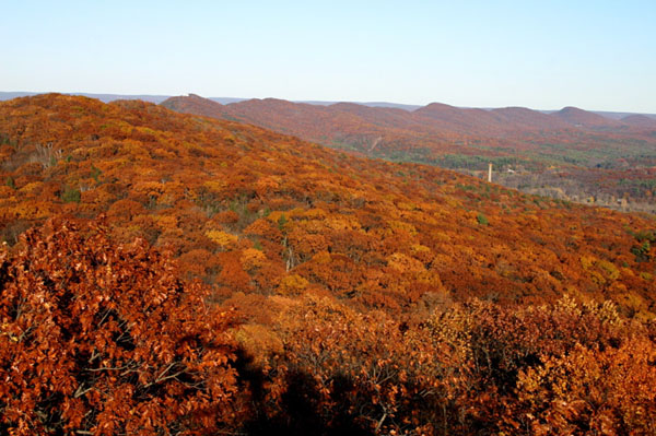 Mt_Tom_031a