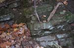Mt_Tom_004a