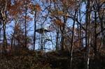 Mt_Tom_008a