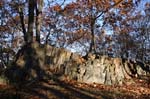 Mt_Tom_019a