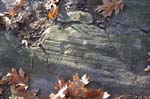 Mt_Tom_034a
