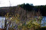 Mt_Tom_038a