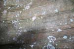 Mt_Tom_046a