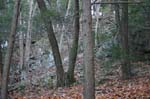 Mt_Tom_049a