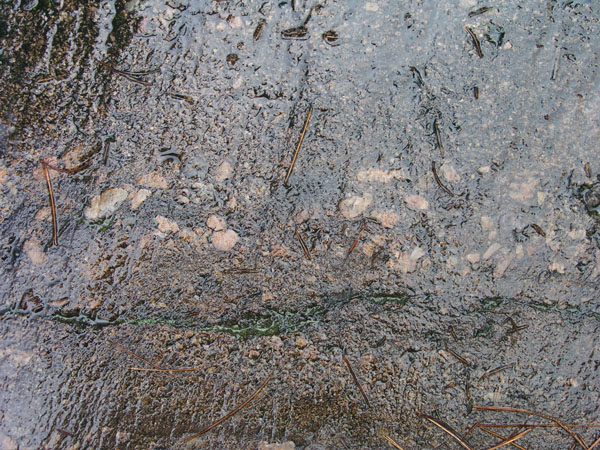 Quabbin_005