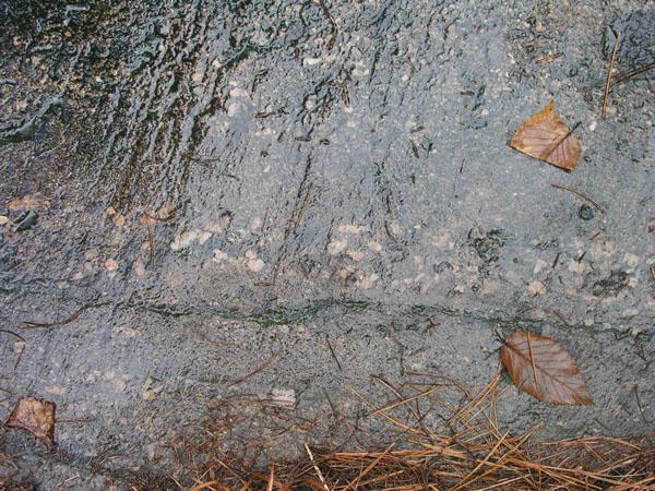 Quabbin_006