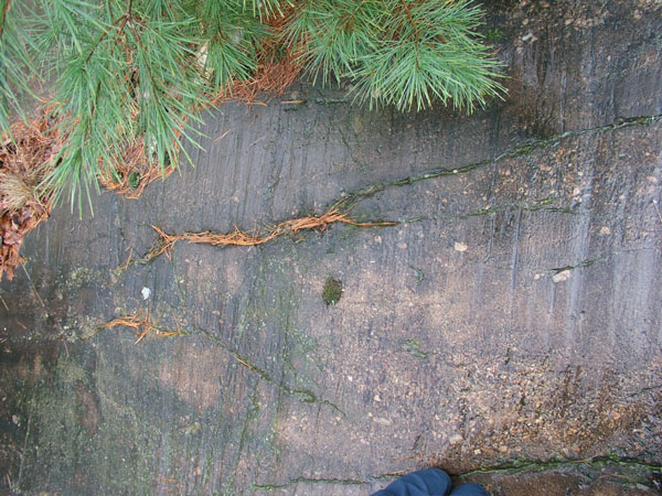Quabbin_010