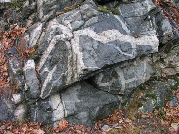 Quabbin_026