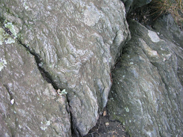 Quabbin_039