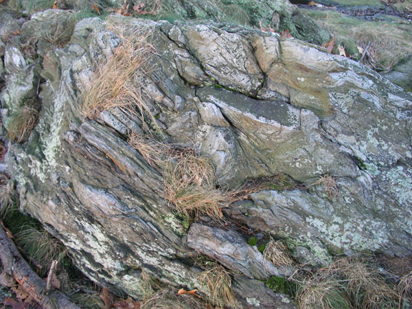Quabbin_043