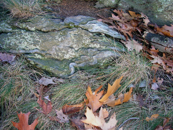 Quabbin_047