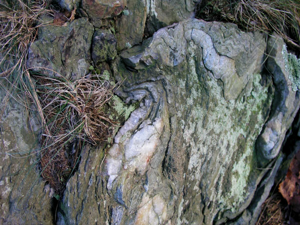 Quabbin_048